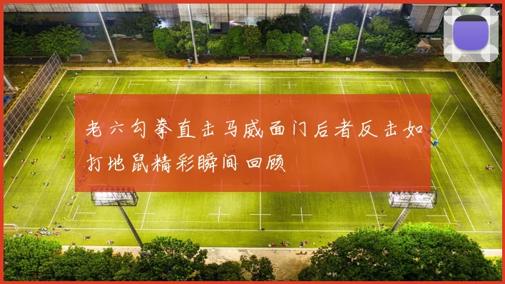 老六勾拳直击马威面门后者反击如打地鼠精彩瞬间回顾