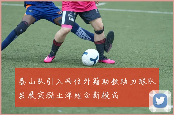 泰山队引入两位外籍助教助力球队发展实现土洋结合新模式